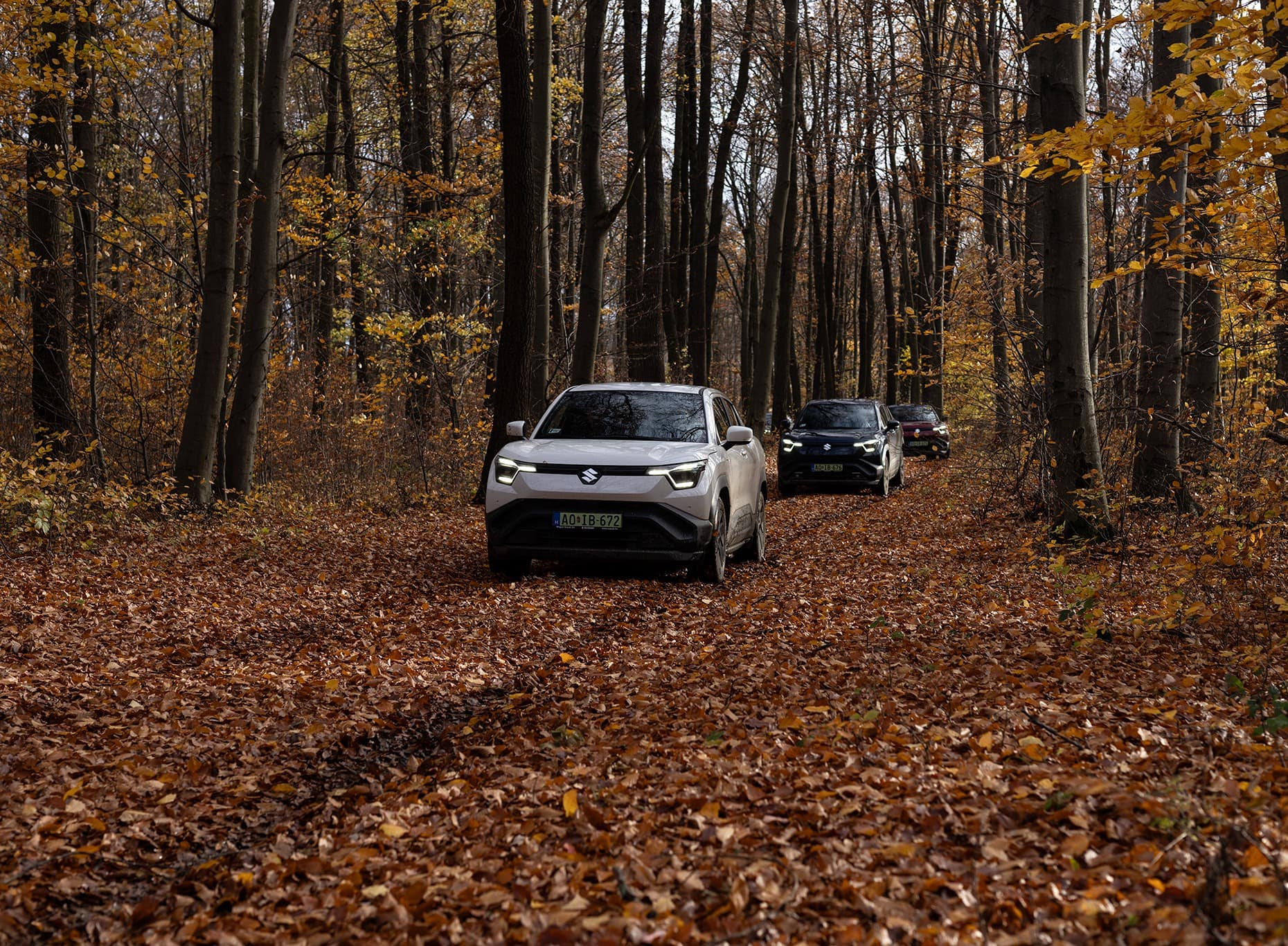 Suzuki eVITARA csúszós erdei ösvényen