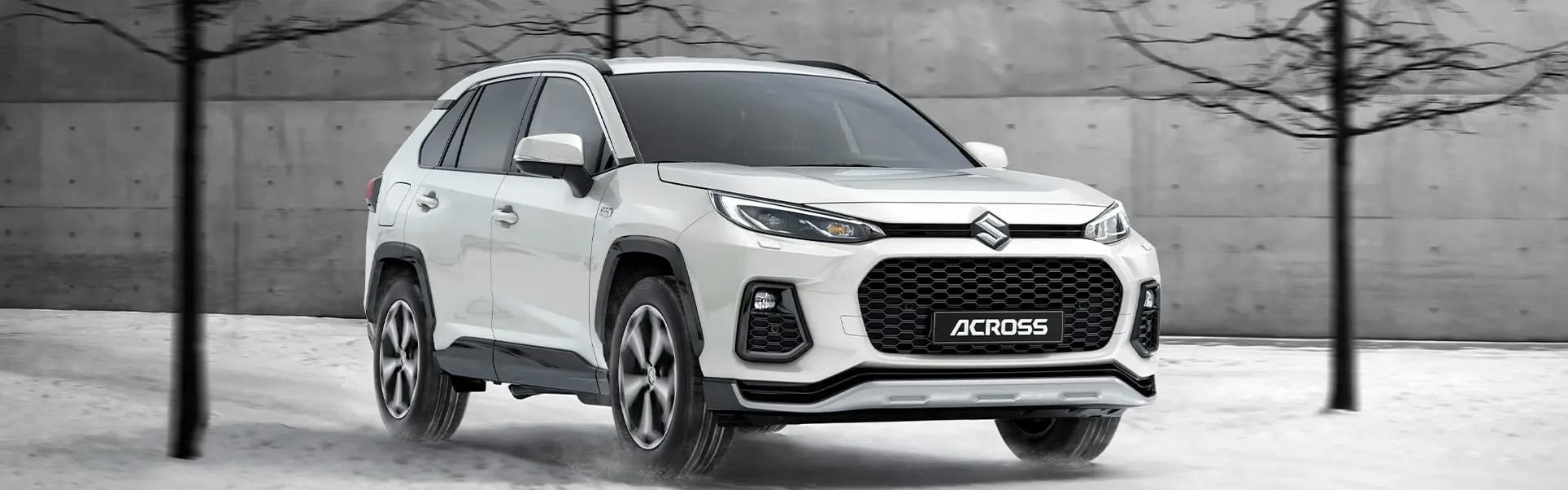 Suzuki Across havas háttérrel