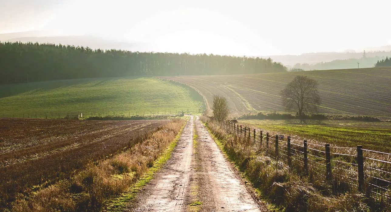 Suzuki_vitara_lock_mode_1760011342006